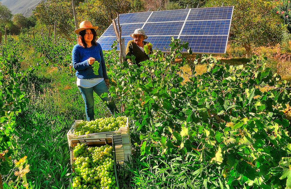 energía solar fotovoltaica para la agroindustria
